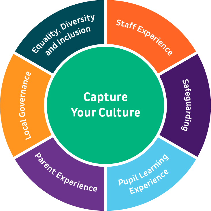 Capture your culture_Edurio surveys wheel