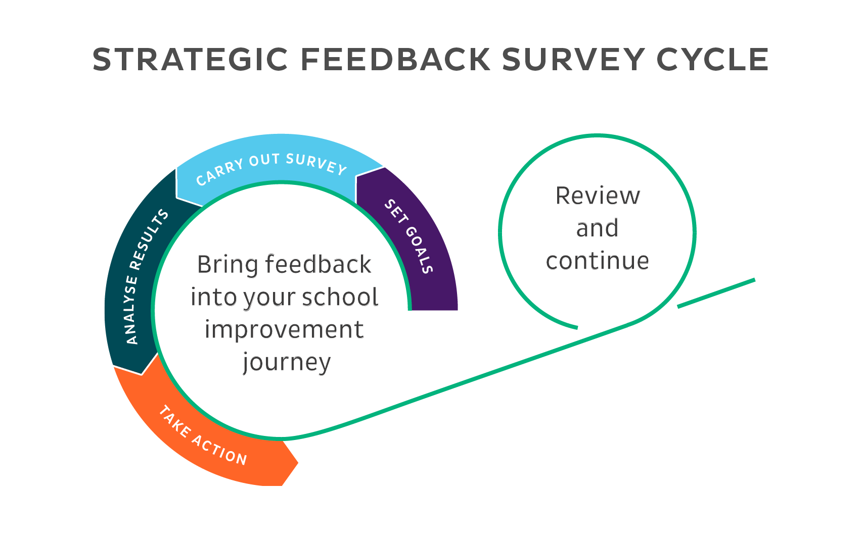 Strategic feedback survey cycle (transparent background)