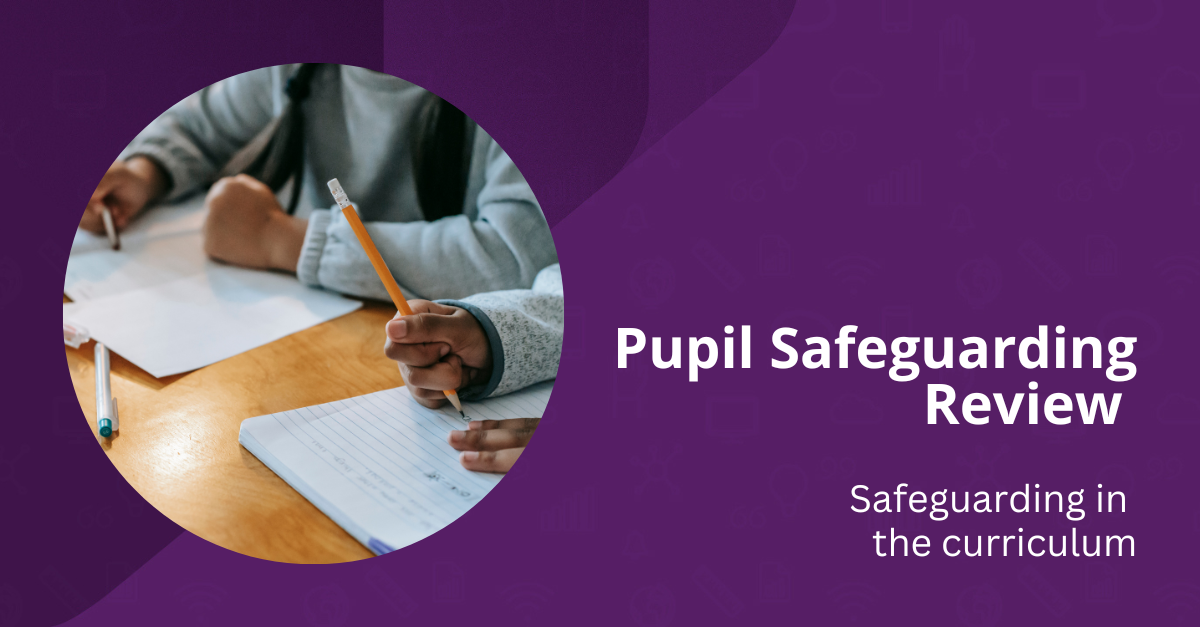 COVER IMAGE – The Pupil Safeguarding Review II