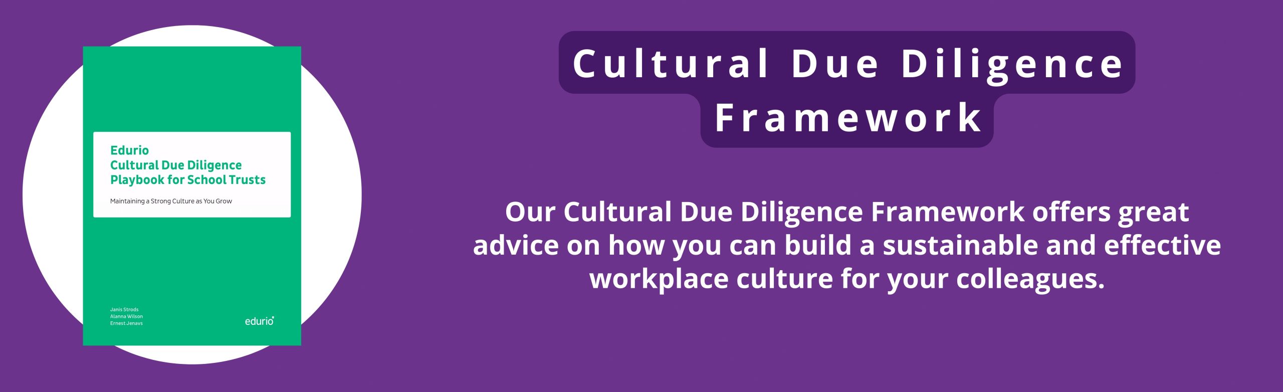 Langley-CASE-STUDY_cultural_due_diligence