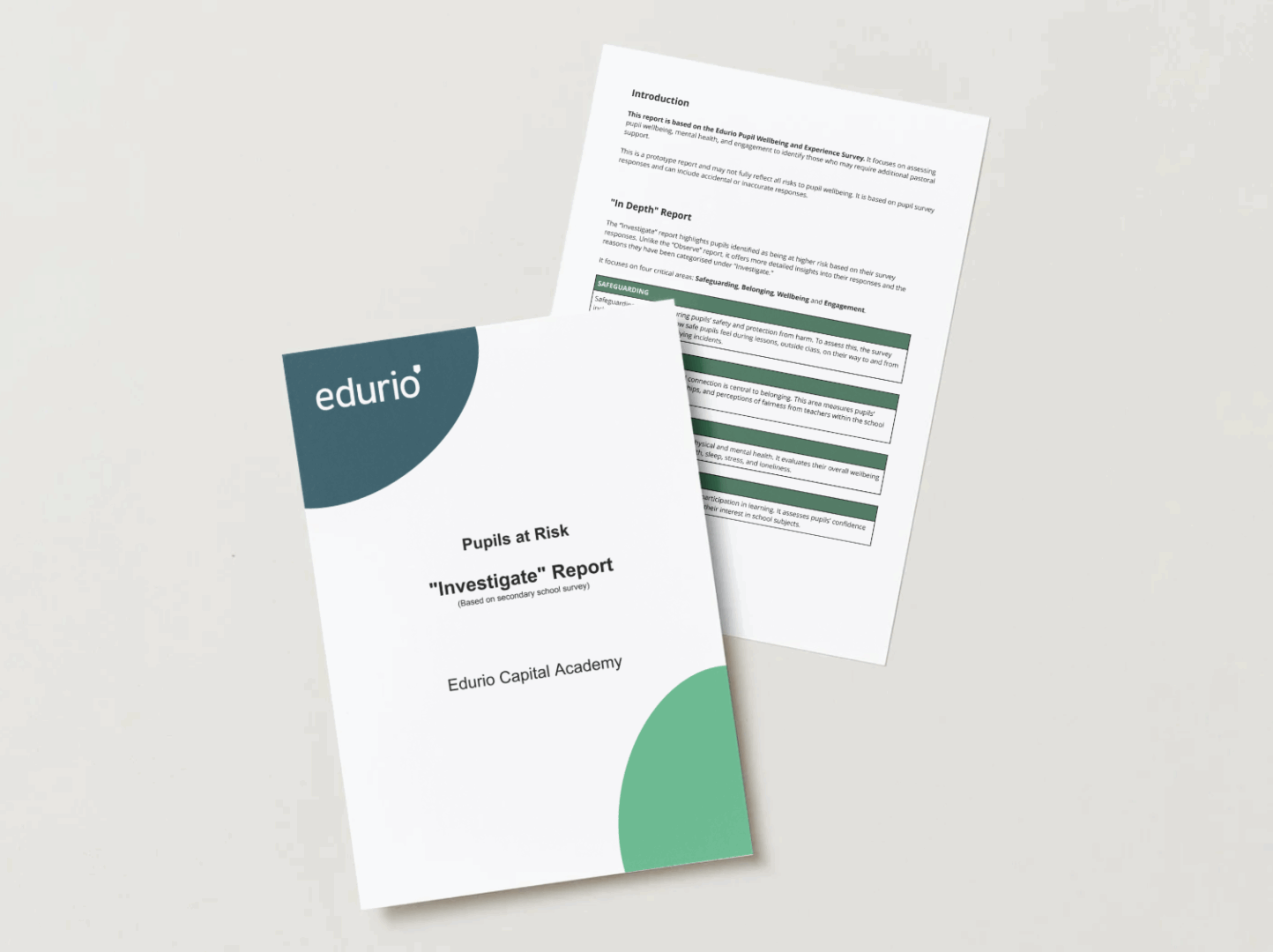 Pupils at risk report